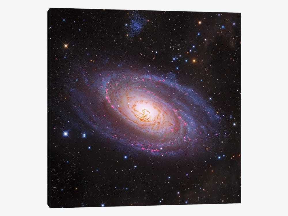 Bode's Galaxy, M81 Spiral Galaxy In Ursa Major III by Robert Gendler 1-piece Art Print