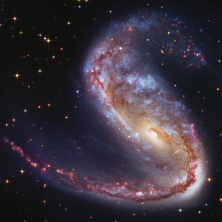 Meathook Galaxy (NGC2442)