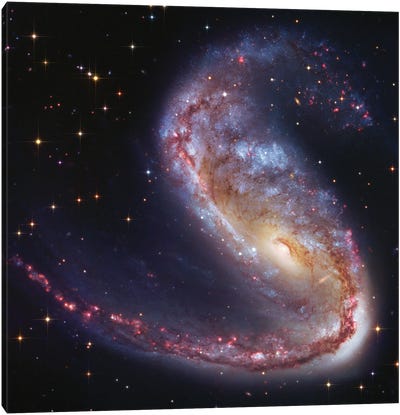 Meathook Galaxy (NGC2442) Canvas Art Print - Galaxy Art