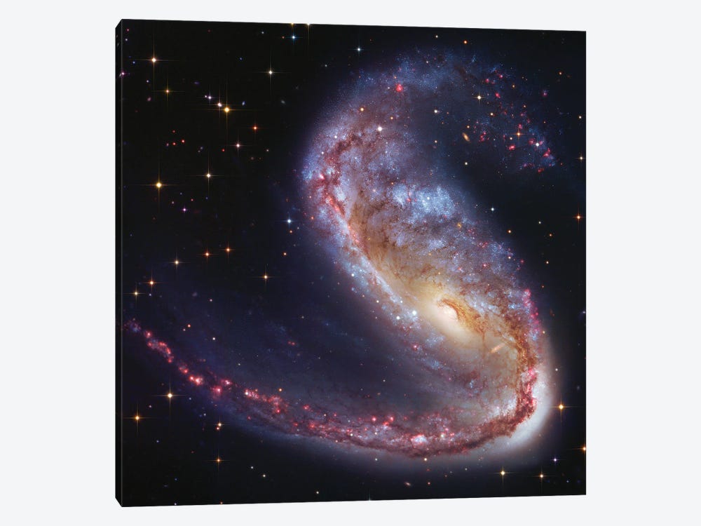 Meathook Galaxy (NGC2442) by Robert Gendler 1-piece Canvas Wall Art