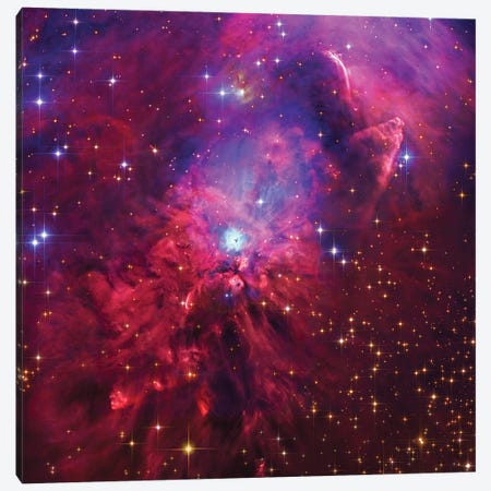 NGC1999, Emission And Reflection Nebulae In Orion Canvas Print #GEN157} by Robert Gendler Canvas Print