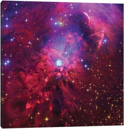 NGC1999, Emission And Reflection Nebulae In Orion Canvas Art Print - Nebula Art