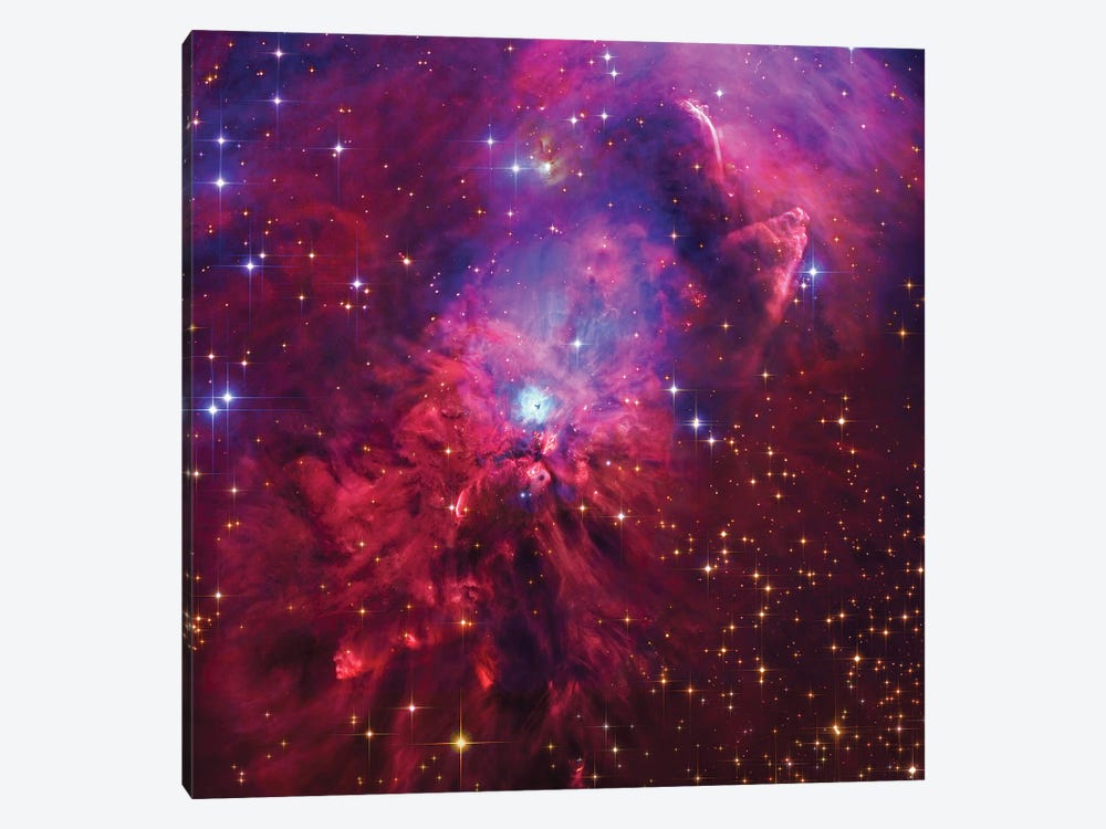 NGC1999, Emission And Reflection Nebulae In Orion by Robert Gendler 1-piece Canvas Artwork