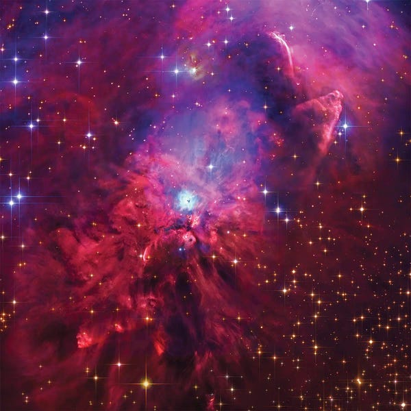 Robert Gendler: NGC1999, Emission And Reflection Nebulae In Orion by Robert Gendler