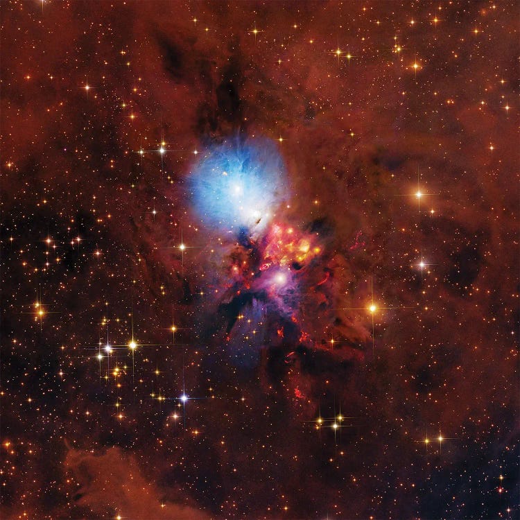 NGC1333, Complex Nebula In Perseus