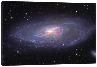 Spiral Galaxy In Canes Venatici Canvas Art Print - Galaxy Art