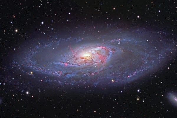 Robert Gendler: Spiral Galaxy In Canes Venatici by Robert Gendler