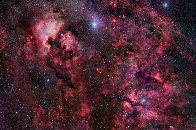 Cygnus Mosaic I