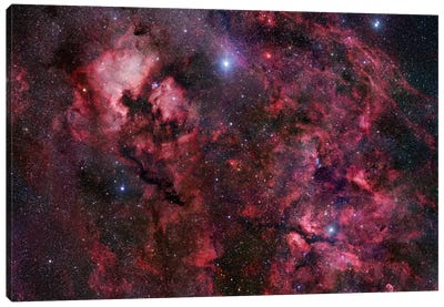 Cygnus Mosaic I Canvas Art Print - Constellation Art