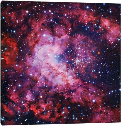 Star Cluster In Carina Canvas Art Print - Galaxy Art