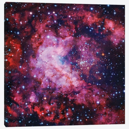 Star Cluster In Carina Canvas Print #GEN161} by Robert Gendler Canvas Art Print