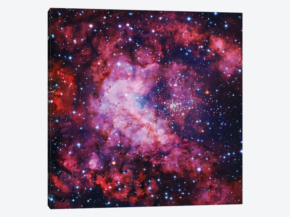 Star Cluster In Carina by Robert Gendler 1-piece Art Print
