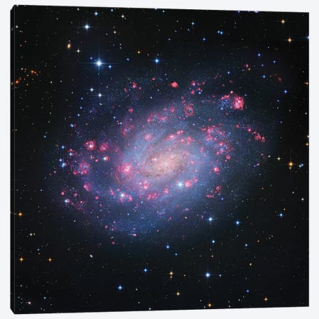 Spiral Galaxy In Sculptor, Hubble Space Telescope (NGC 300) Canvas Print #GEN165} by Robert Gendler Canvas Art