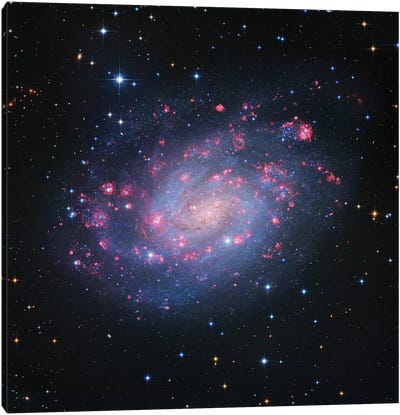 Spiral Galaxy In Sculptor, Hubble Space Telescope (NGC 300) Canvas Art Print - Robert Gendler