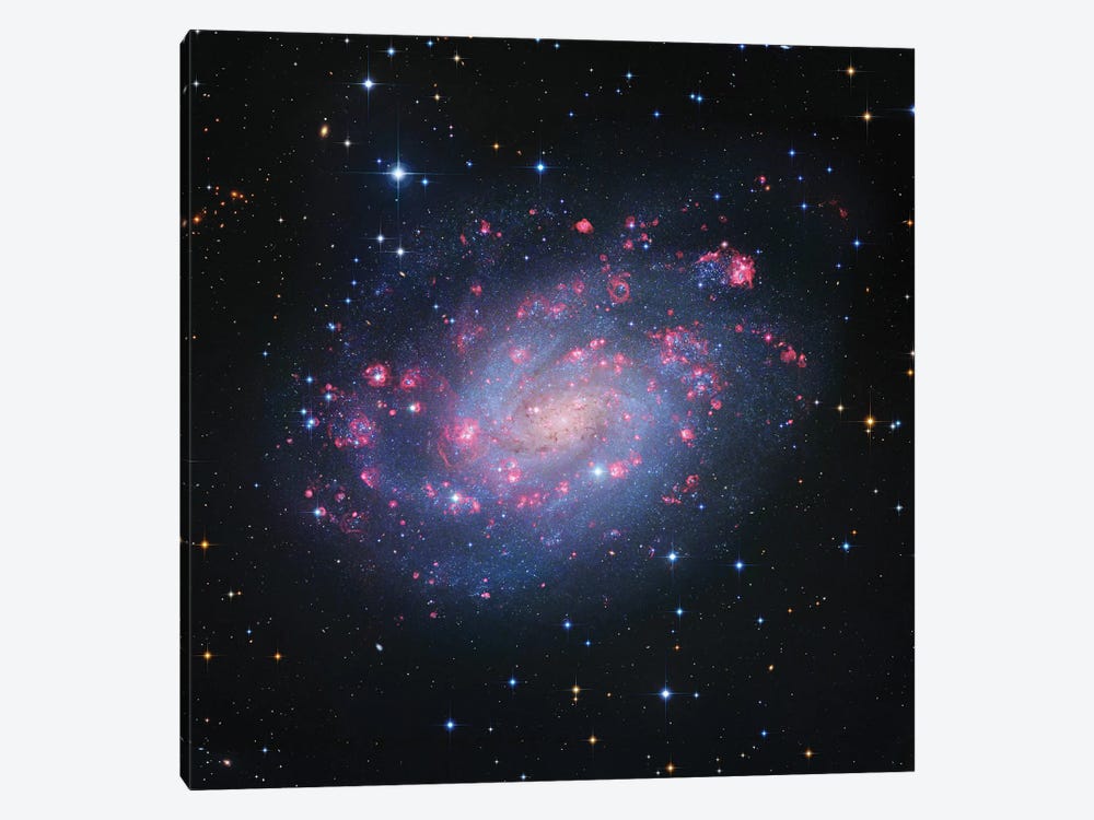 Spiral Galaxy In Sculptor, Hubble Space Telescope (NGC 300) by Robert Gendler 1-piece Art Print