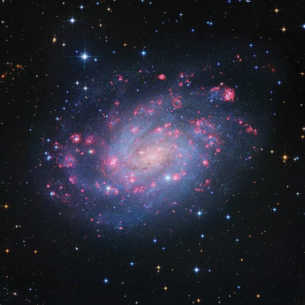 Robert Gendler: Spiral Galaxy In Sculptor, Hubble Space Telescope (NGC 300) by Robert Gendler