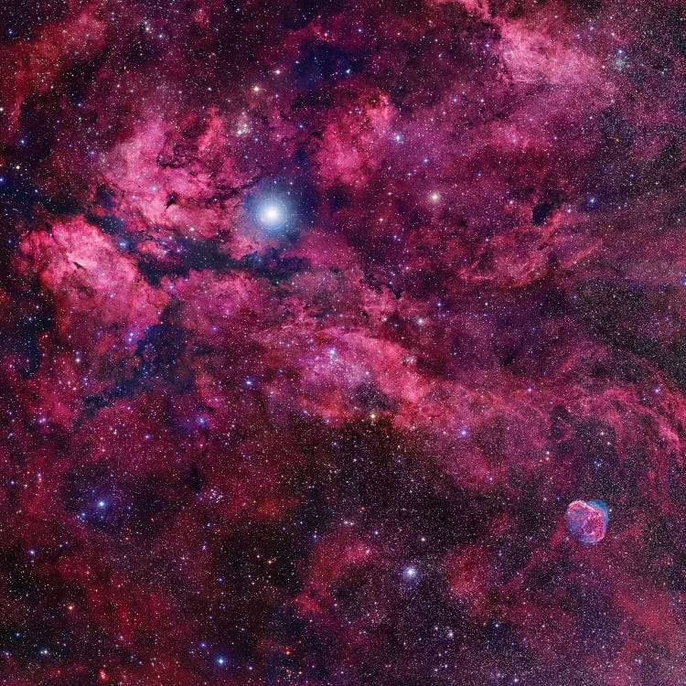 Cygnus Mosaic II by Robert Gendler wall art