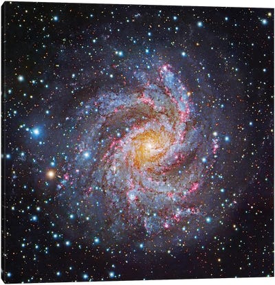 Composite Of "The Fireworks Galaxy" - NGC 6946 Canvas Art Print - Nebula Art