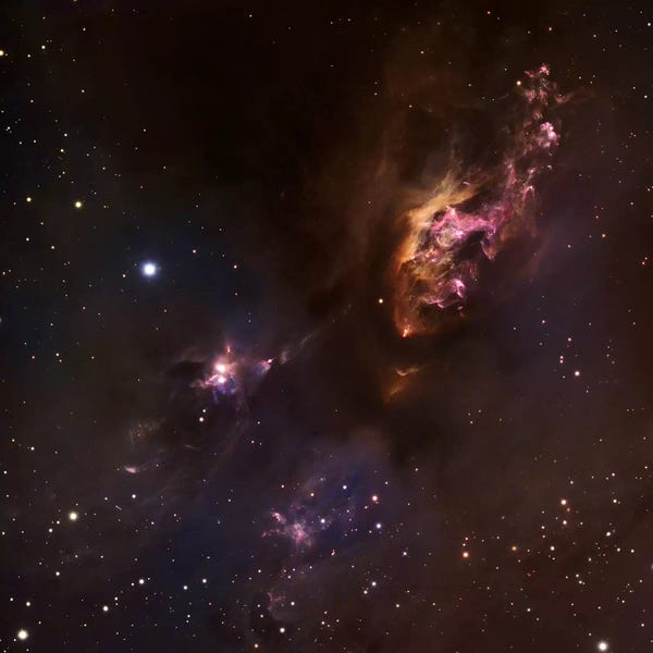 Robert Gendler: Dark Cloud In Taurus (LDN 1551) by Robert Gendler