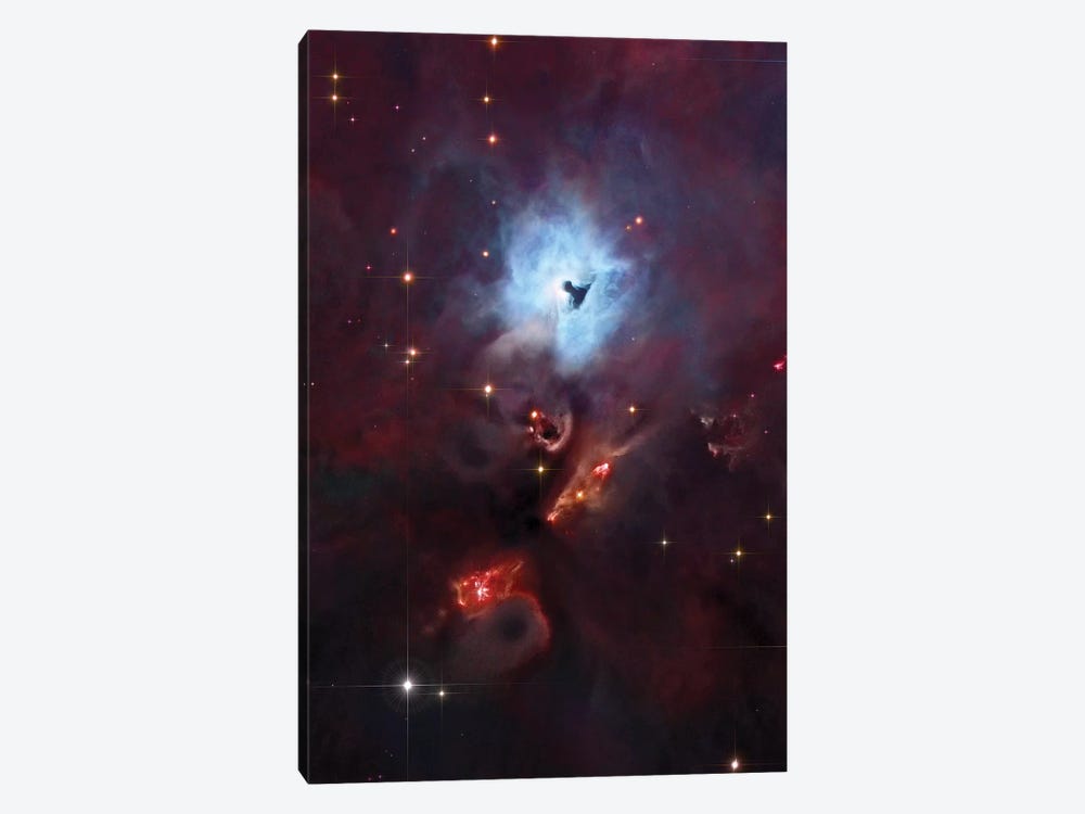 Emission & Reflection Nebula In Orion (NGC 1999) I by Robert Gendler 1-piece Canvas Wall Art