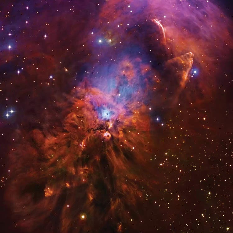 Emission & Reflection Nebula In Orion (NGC 1999) II by Robert Gendler wall art