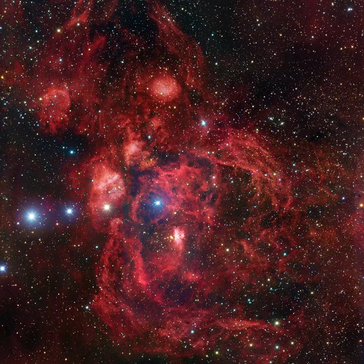 Emission Complex In Scorpius (NGC 6357) by Robert Gendler wall art