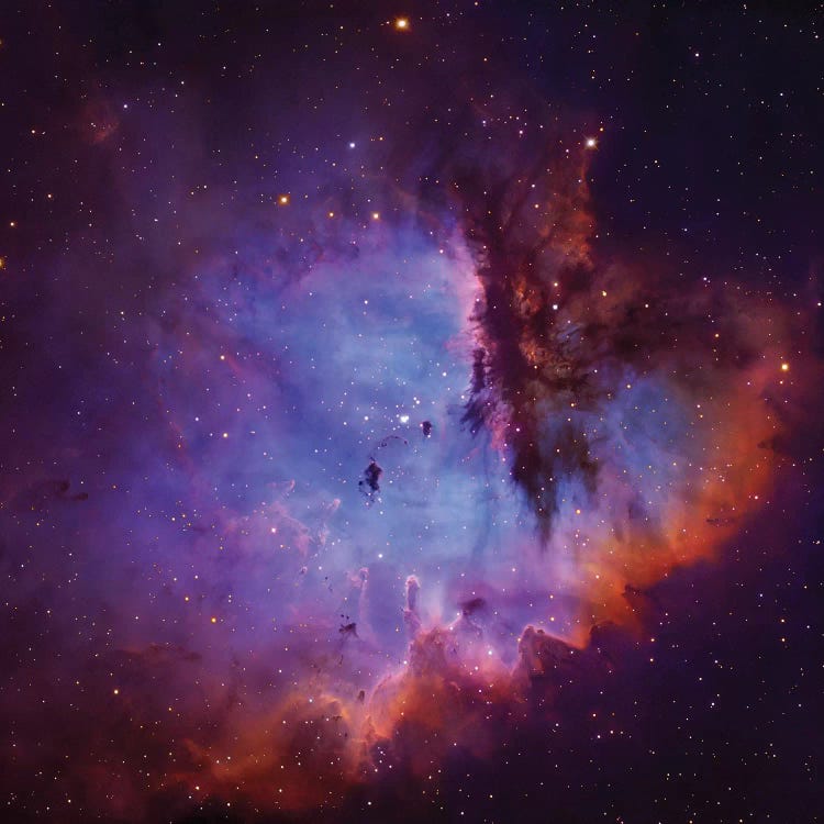 Emission Nebula and Open Cluster in Cassiopeia (NGC 281) by Robert Gendler wall art