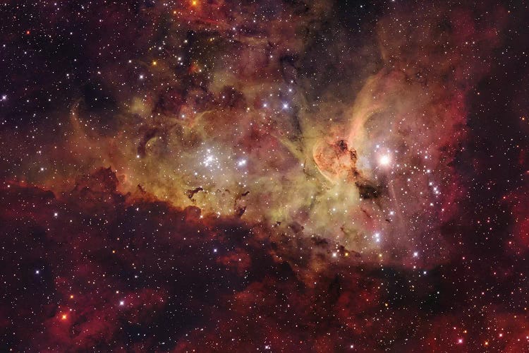 Eta Carinae Mosaic by Robert Gendler wall art