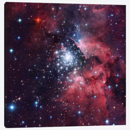 Giant HII Cloud And Its Massive Cluster HD97950 (NGC 3603) Canvas Print #GEN29} by Robert Gendler Canvas Print