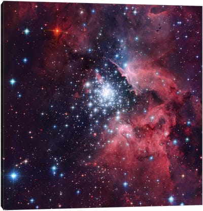 Giant HII Cloud And Its Massive Cluster HD97950 (NGC 3603) Canvas Art Print - Nebula Art