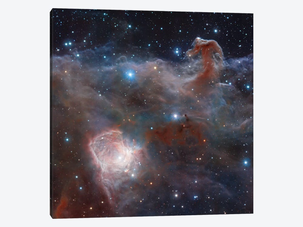 Horsehead Nebula Region In Infrared Light by Robert Gendler 1-piece Canvas Wall Art