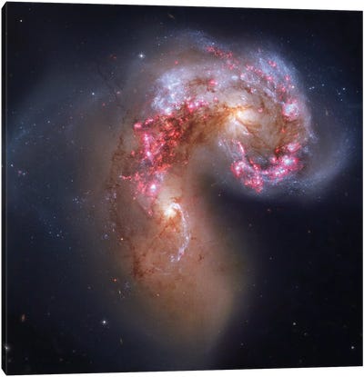 Interacting Galaxies In Corvus (NGC 4038) I Canvas Art Print - Galaxy Art