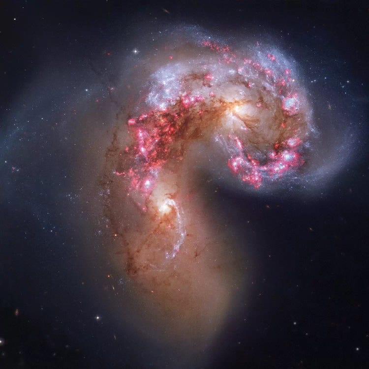 Interacting Galaxies In Corvus (NGC 4038) I by Robert Gendler wall art