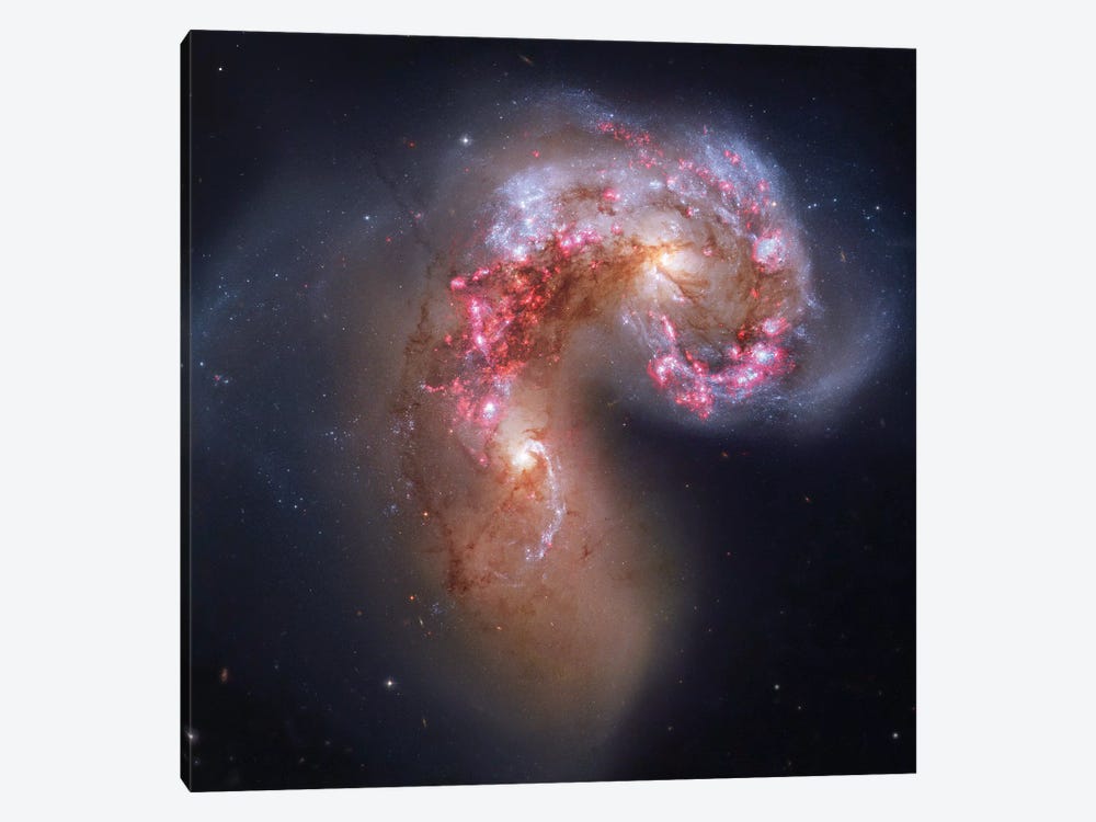 Interacting Galaxies In Corvus (NGC 4038) I by Robert Gendler 1-piece Canvas Print