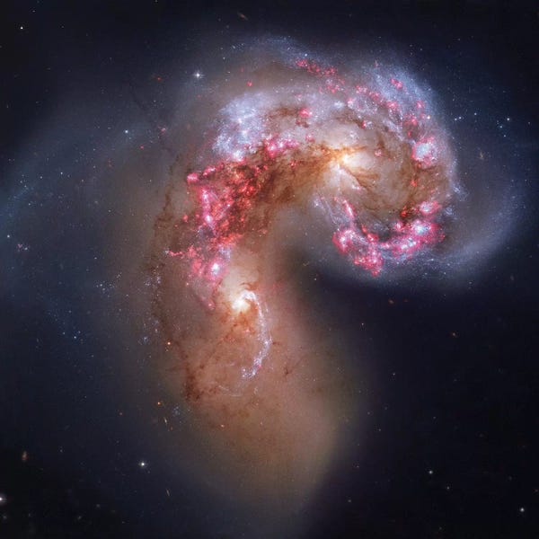 Robert Gendler: Interacting Galaxies In Corvus (NGC 4038) I by Robert Gendler