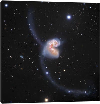 Interacting Galaxies In Corvus (NGC 4038) II Canvas Art Print - Galaxy Art