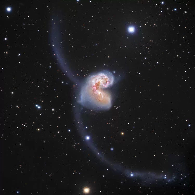 Interacting Galaxies In Corvus (NGC 4038) II by Robert Gendler wall art