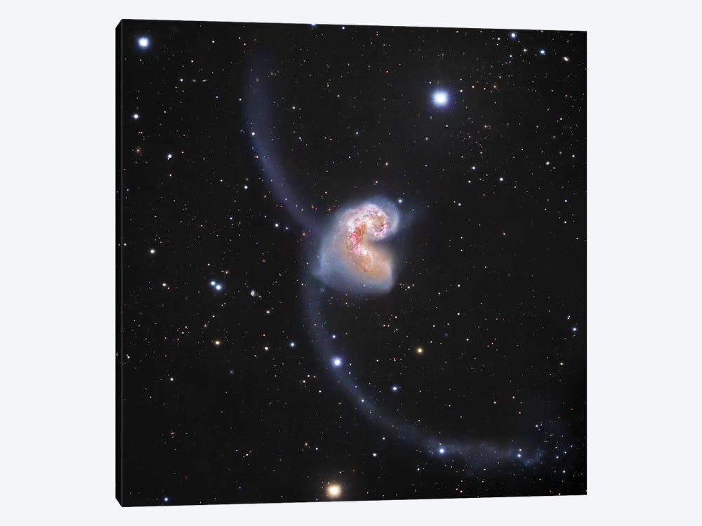 Interacting Galaxies In Corvus (NGC 4038) II by Robert Gendler 1-piece Canvas Art