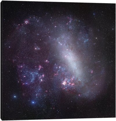 Large Magellanic Cloud Mosaic Canvas Art Print - Galaxy Art