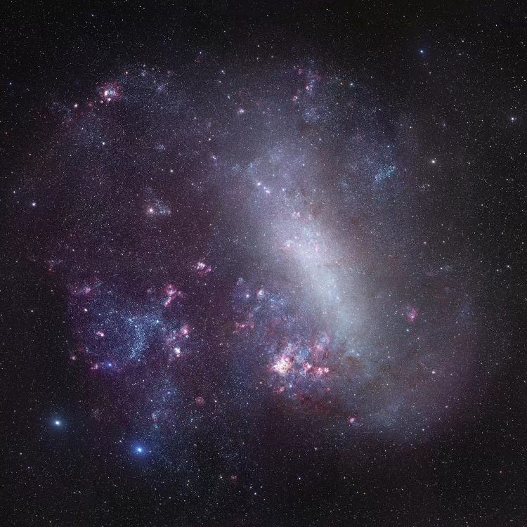 Large Magellanic Cloud Mosaic