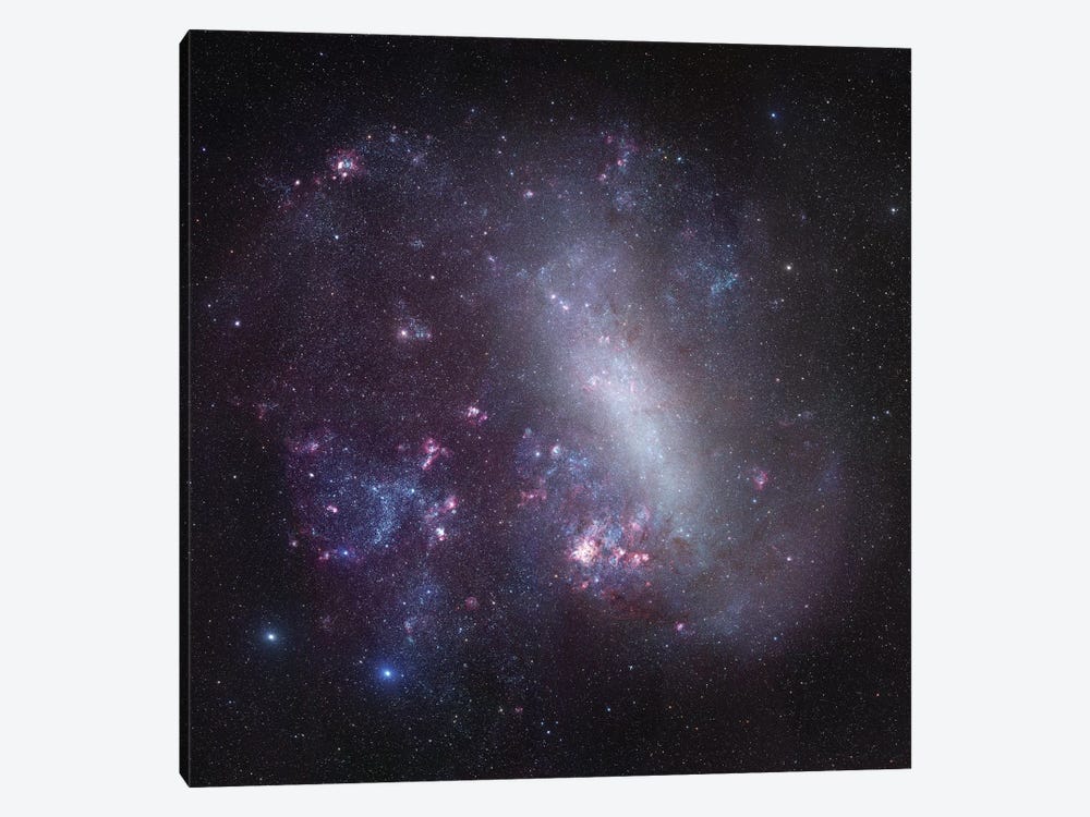 Large Magellanic Cloud Mosaic by Robert Gendler 1-piece Canvas Print