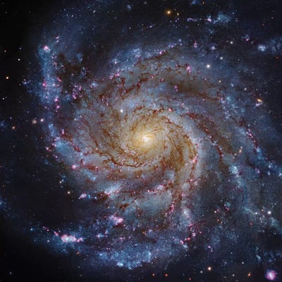 M101, The Pinwheel Galaxy by Robert Gendler multi panel art