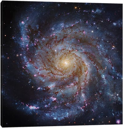 M101, The Pinwheel Galaxy Canvas Art Print - Astronomy & Space Art