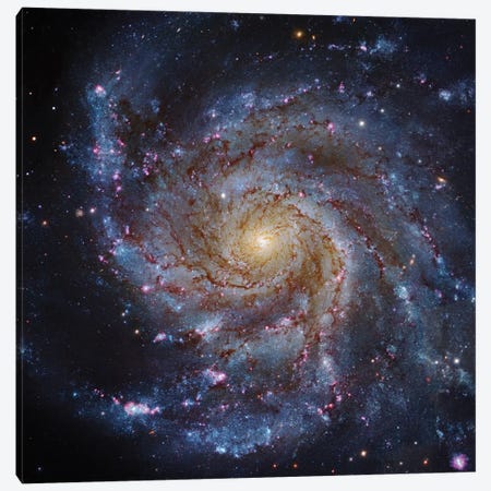 M101, The Pinwheel Galaxy Canvas Print #GEN36} by Robert Gendler Art Print