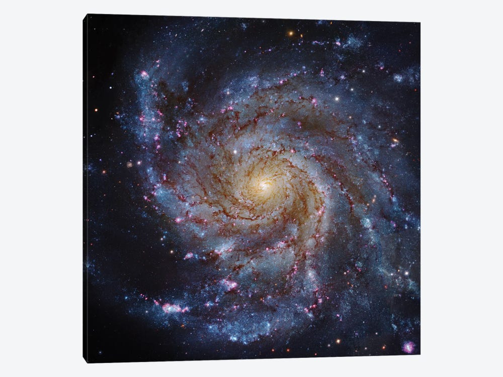 M101, The Pinwheel Galaxy by Robert Gendler 1-piece Canvas Print