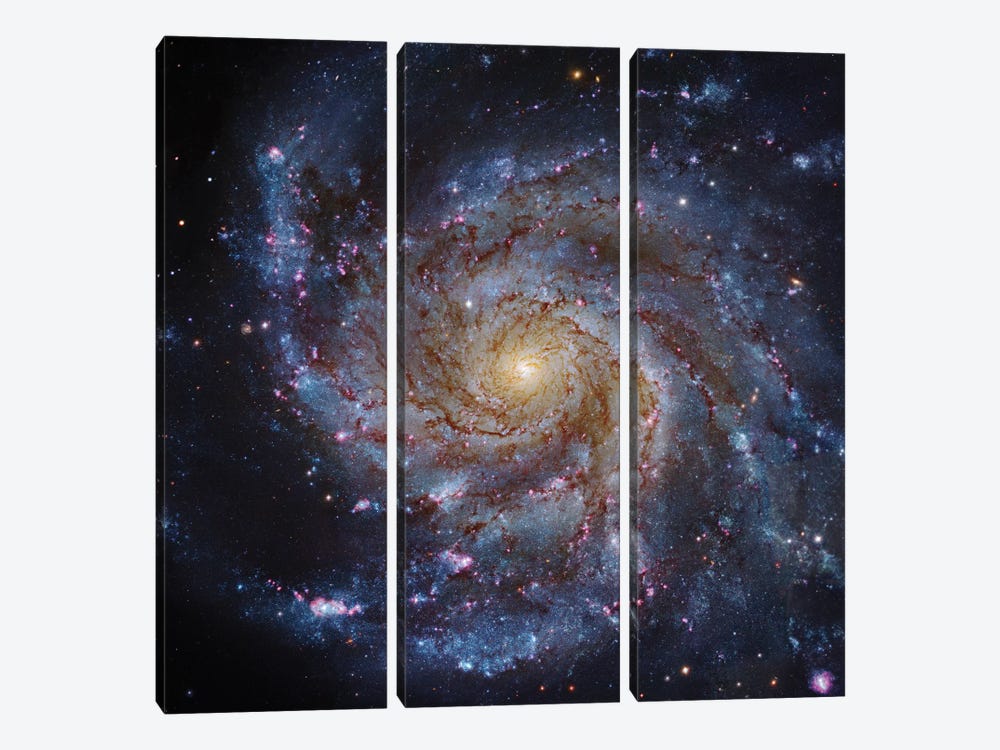 M101, The Pinwheel Galaxy by Robert Gendler 3-piece Art Print