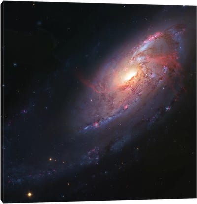 M106, Spiral Galaxy In Canes Venatici I Canvas Art Print - Space Lover