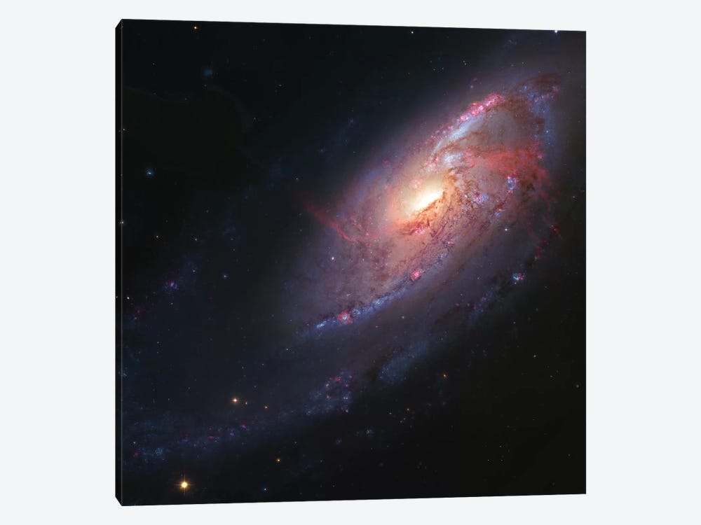 M106, Spiral Galaxy In Canes Venatici I by Robert Gendler 1-piece Canvas Art
