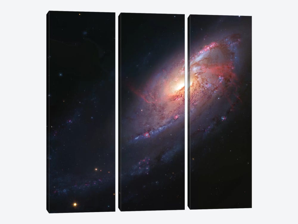M106, Spiral Galaxy In Canes Venatici I by Robert Gendler 3-piece Canvas Art