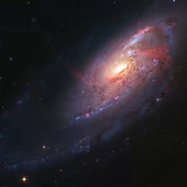 Robert Gendler: M106, Spiral Galaxy In Canes Venatici I by Robert Gendler